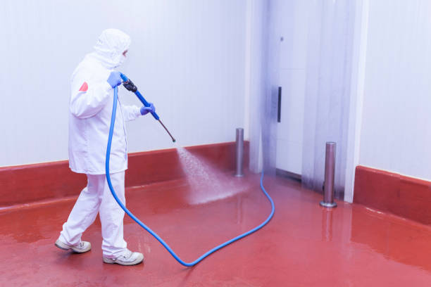 Best Graffiti Removal Services in Nevada, MO