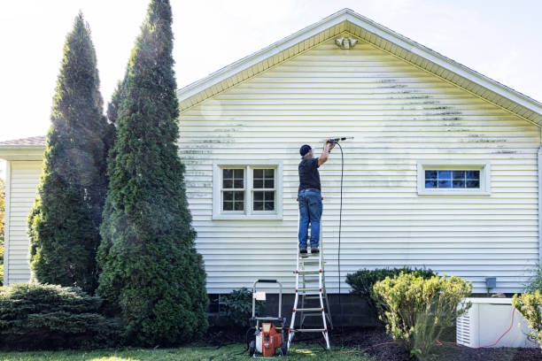 Best Window and Screen Pressure Cleaning in Nevada, MO